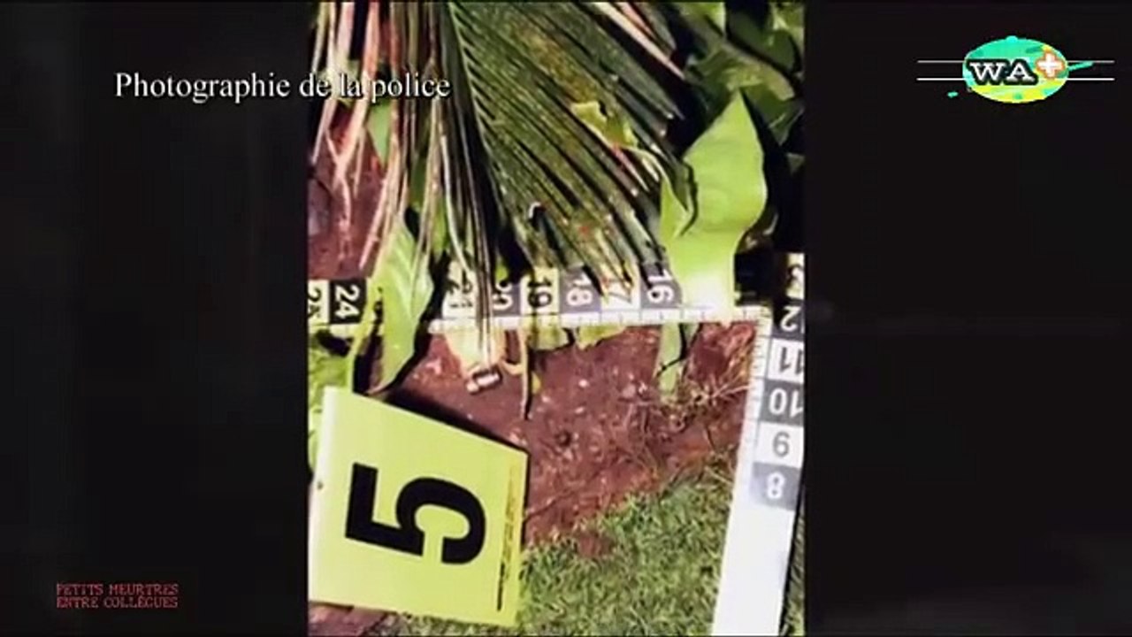 AFFAIRES CRIMINELLES  MEURTRES ENTRE COLLEGUES EPS 1-2