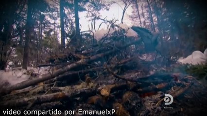 desafio x2 - nueva escocia, la costa de canada