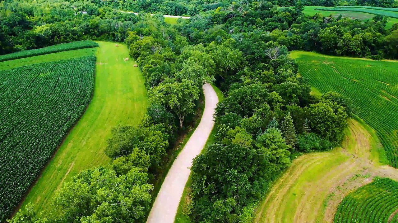 Drone view Through Plantation And Forest