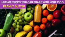 14 HEALTHY Human Foods Your Dog Can Share