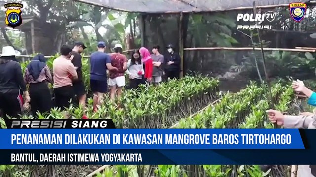 Bhabinkamtibmas Polres Bantul Laksanakan Kegiatan Penanaman Mangrove Bersama Mahasiswa UGM Yogyakarta