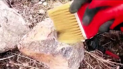 Kazmasını bu sefer toprağa değil taşa vuran Türk defineci, içinden çıkan hazineyle sevindi