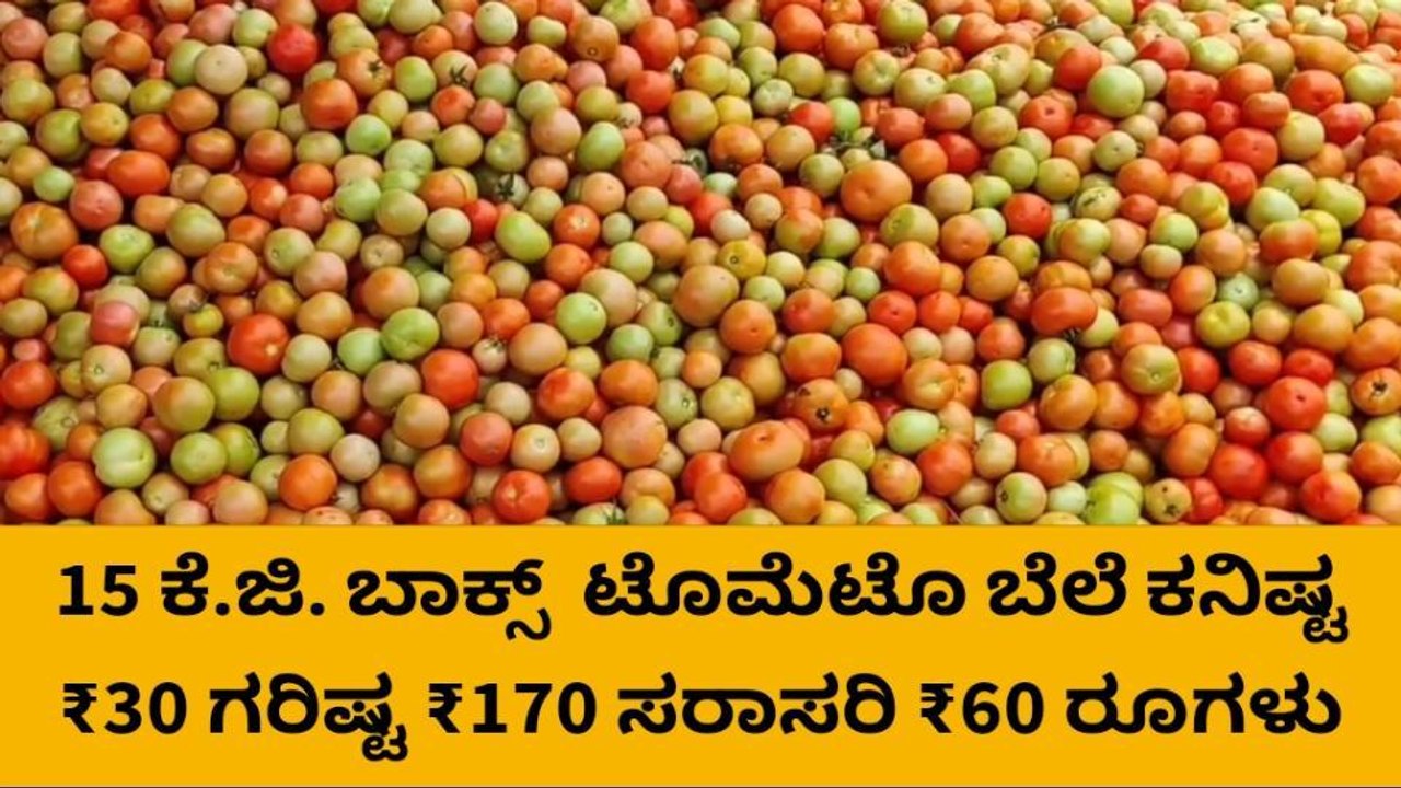 ಚಿಂತಾಮಣಿ : ನಾಟಿ ಟೊಮ್ಯಾಟೊ ಬೆಲೆ ಇಳಿಕೆಯಲ್ಲಿ