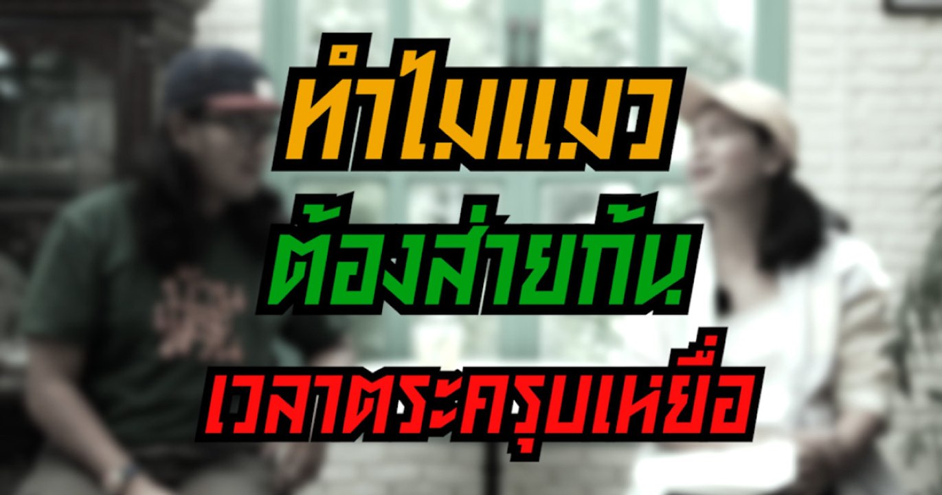 บ้านและสวนปรึกษาหารือ ทำไมแมวต้องส่ายก้นเวลาตะครุบเหยื่อ