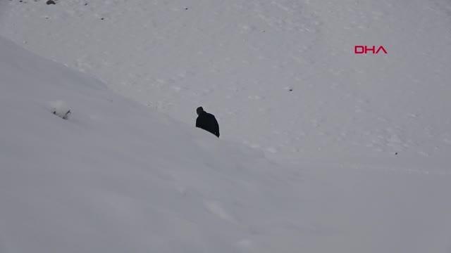 HAKKARİ'DE ARIZA EKİPLERİ, KARLI YOLLARI AŞIP ELEKTRİK ARIZASINI GİDERDİ