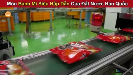 Cực Phẩm Món Bánh Mì hàn Quốc Thơm Ngon Giòn Rụm Siêu Hấp Dẫn - Review Con Người Và Cuộc Sống