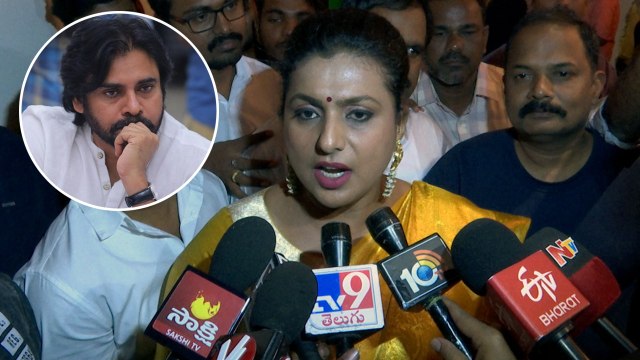 Pawan పై రోజా సంచలన వ్యాఖ్యలు, నీ పనై పోతుంది అంటూ మరీ ! *Politics | Telugu OneIndia
