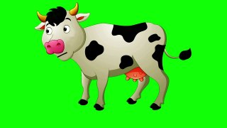 Copyright Free Cow Green Screen Effect | Chroma Key | Royalty Free | Cow Walking Cow Talking Caw Green Screen Video Cartoon