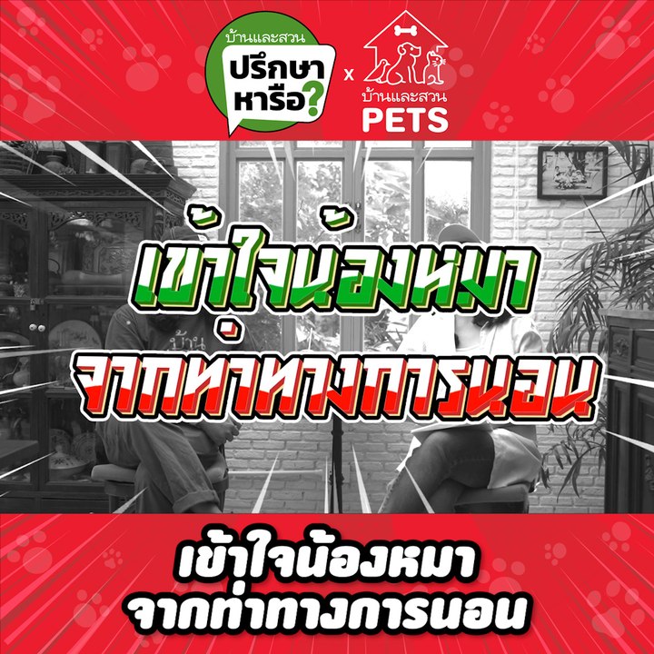 บ้านและสวนปรึกษาหารือ ท่านอนหมา