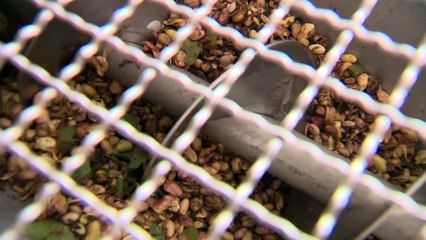 Grupo Iberopistacho se convierte en la Pyme del Año en Ciudad Real