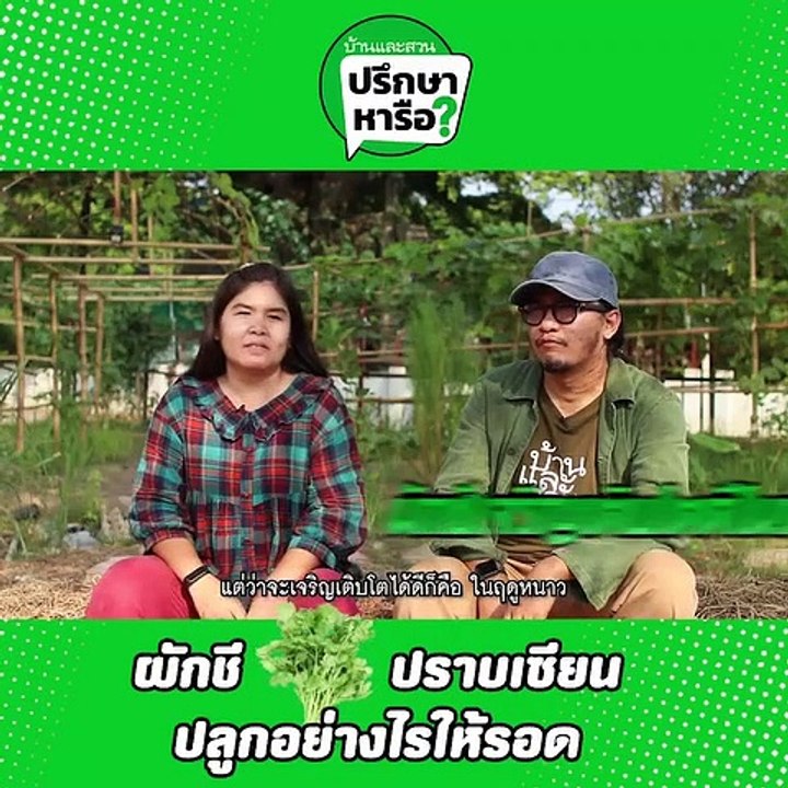 บ้านและสวนปรึกษาหารือ โรสแมรี่ ผักชี