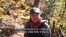 한국기행 - Korea travel_낙동강 기행 1부- 단풍 황홀경, 청량산_#001