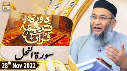 Daura e Tarjuma e Quran - Shuja Uddin Sheikh - 28th November 2022 - ARY Qtv