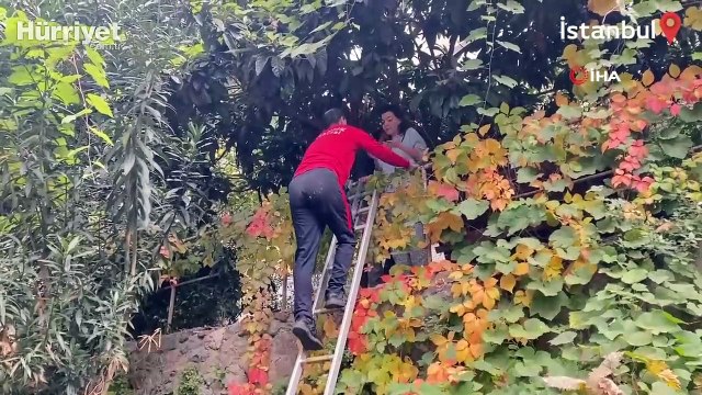 Kedisini kurtarmak isterken ağaçta mahsur kaldı