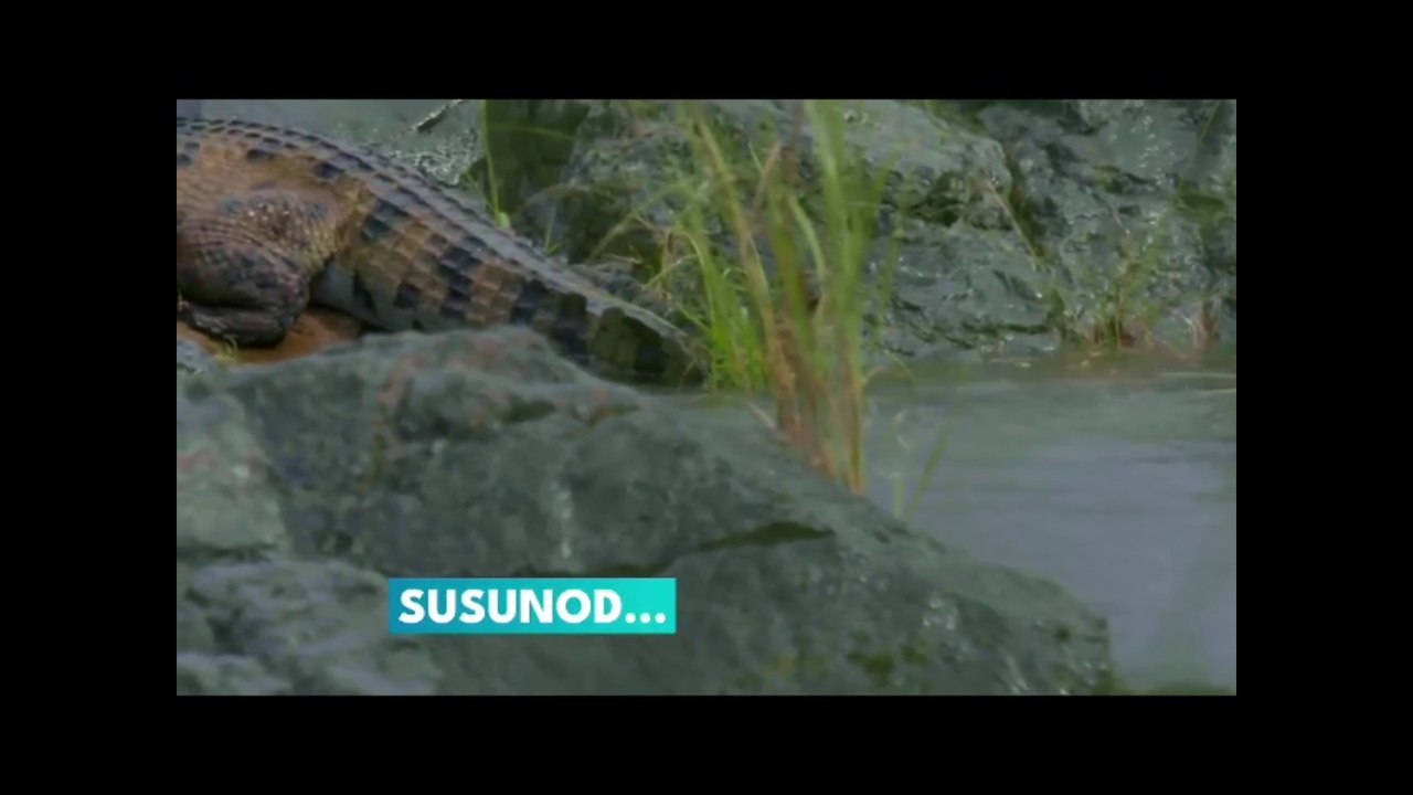112022 BORNTOBEWILD .mov