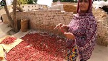 Most Beautiful Old Culture of Punjab | Village and Rural Life Pakistan | cooking in Mud Kitchen | Daily Mixer