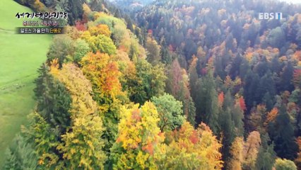 세계테마기행 - 흥미진진 독일로(路)- 지금 꼭! 가을 알프스로_#003