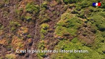 [Présentation] Grand Prix national du paysage 2022 : Cap Fréhel (Côte d'Armor - 22)