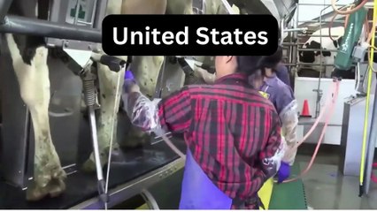 Dairy Farm in 5 countries