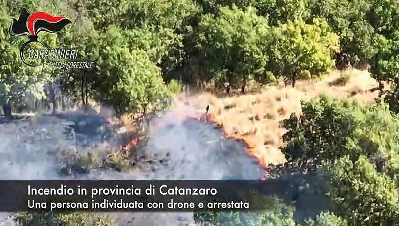Calabria, presentati i risultati della campagna antincendio