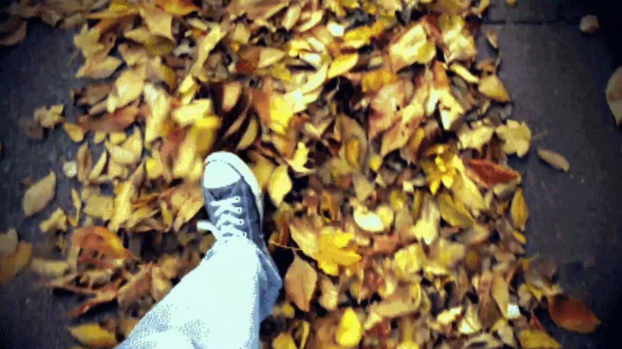 Walking on Leaves Sound Effect COPYRIGHT FREE video Dailymotion