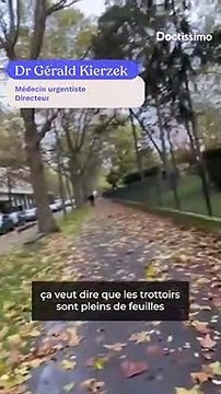 Automne : les dangers des feuilles dans les rues