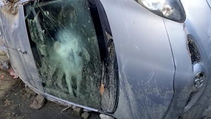 Frana a Casamicciola, il cane intrappolato nell'auto dei padroni dispersi