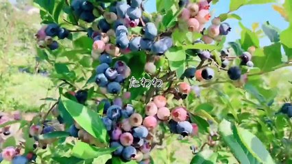 【一人暮らしアラサー独身女】49