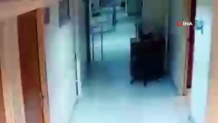 Serbest kaldıkları adliyede hırsızlık yaptılar