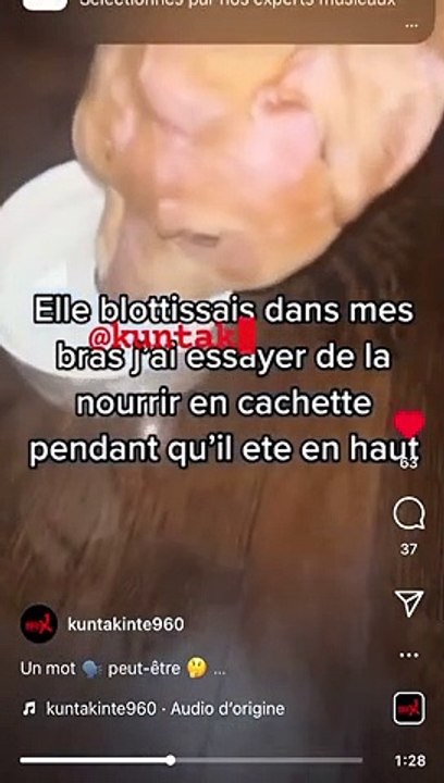 Invitée chez deux influenceurs, elle découvre leur chiot de 4 mois battu (Argenteuil)