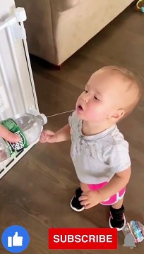 Try Not To Laugh - Funny Babies Doing Crazy Things Cute Baby Videos
