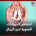 الرجالة في خطر.. انخفاض غير مسبوق في معدلات الحيوانات المنوية