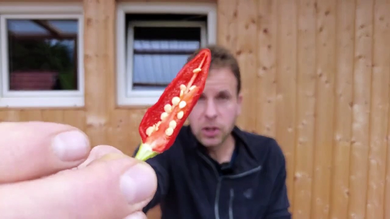 Chili Verkostung, welche schmeckt am Besten __ Update #2 - 25.09.2022