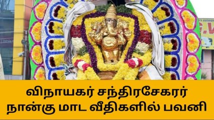 தி மலை:தீபதிருவிழா 2ம் நாள் காலஉற்சவம் !