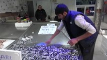 Sinop bölgesinde avlanan hamsi, 25 liralık fiyatıyla tezgahların gözdesi