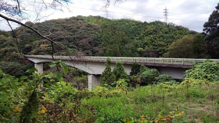 川上大橋 山口県周南市川上 20211111