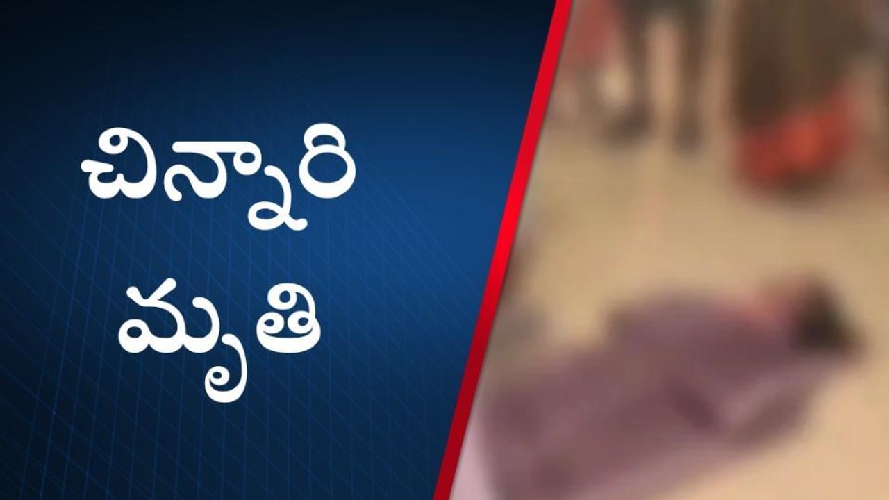 నెల్లూరు జిల్లా: టైరు కింద నలిగిన చిన్నారి... అక్కడికక్కడే మృతి