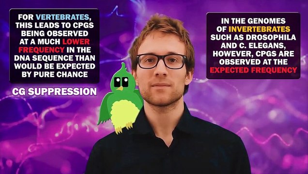 CpG ISLANDS - Promoters, Link to Cancer, X-Chromosome Inactivation_HIGH | CpG Islands | CpG Sites | CpG Islands & DNA Methylation |