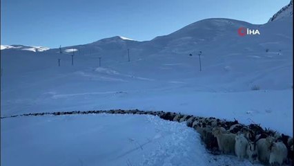 Hakkari'de 3 bin 500 rakımda mahsur kalan çoban ve sürüsü kurtarıldı