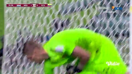 Netherlands vs Ecuador - Highlights FIFA World Cup Qatar 2022