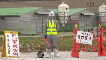 전남 나주 가금농장 2곳 H5형 조류인플루엔자 검출 / YTN