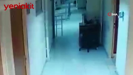 Filmlere konu olacak olay! Hırsızlıktan yargılanıp serbest kaldılar, mahkemede polisin çantasını çaldılar