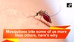 Mosquitoes bite some of us more than others, here's why