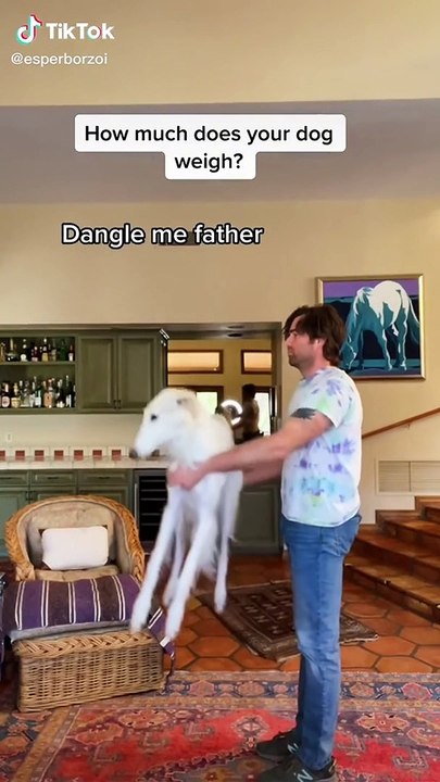 12 Minute Straight of Cuteness Overload | Cute Cats and Dogs Compilation