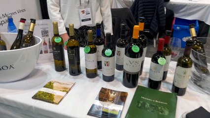 Salón de vinos Peñín