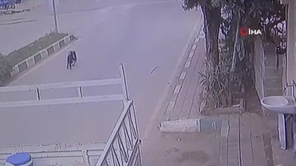 Sürücü, köpeğin üzerinden geçti: O anlar kamerada