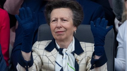 Princess Anne doesn't shake hands