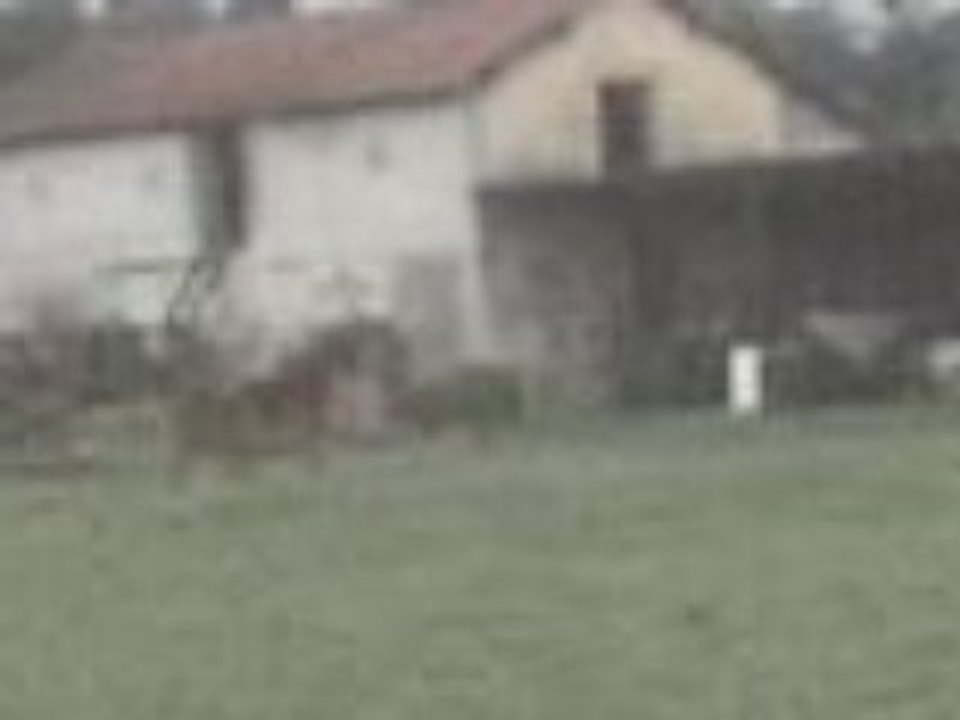 alex (mon copin)ki saute la cloture dan tt les sens du terme