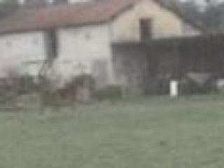 alex (mon copin)ki saute la cloture dan tt les sens du terme