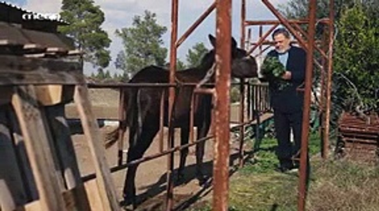 Η γη της ελιάς επ55 28-11-22 part 1/1